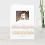 Engelse Bulldog heeft iets te zeggen *goededoelenk Kaart (Achterkant)