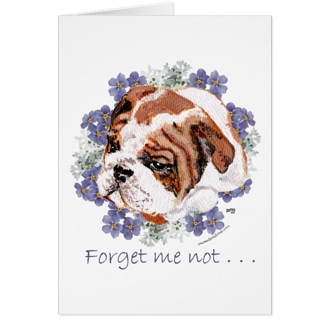 Engelse Bulldog Herinneringen (Voorkant)