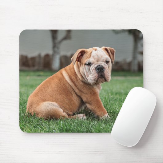 Engelse Bulldog, hond, lief Muismat (Met muis)