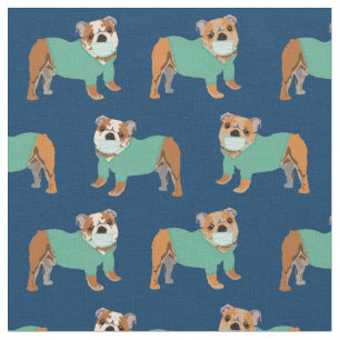 Engelse Bulldog-honden in scrubbende blauw van de Stof