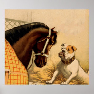 Engelse Bulldog & Horse Illustration Poster