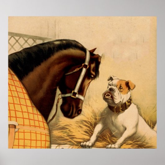  Engelse Bulldog & Horse Illustration Poster (Voorkant)