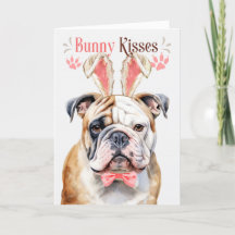 Engelse Bulldog in Bunny Ears for Paaster