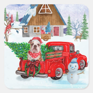 Engelse Bulldog In Kerstbezorgwagen Sneeuw Vierkante Sticker
