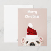 Engelse Bulldog in Santa Hat Feestdagenkaart (Voorkant / Achterkant)