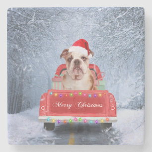 Engelse Bulldog in Snow, die met Kerstmis rondloop Stenen Onderzetter