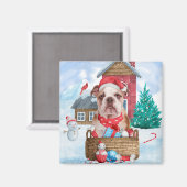 Engelse Bulldog in snow-kersthondenhuis Magneet (Voorkant / Achterkant)