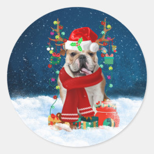 Engelse Bulldog in Snow met kerstcadeaus Ronde Sticker