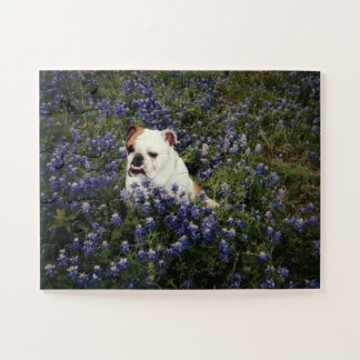 Engelse Bulldog in Texas Bluebonnets Puzzle Legpuzzel