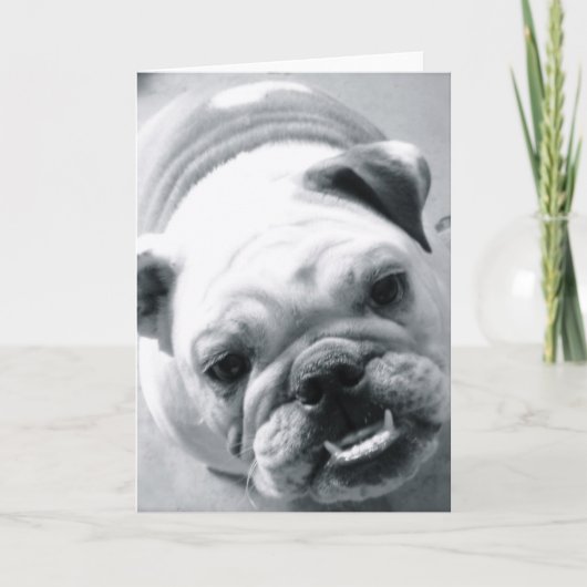 Engelse Bulldog Kaart (Voorkant)