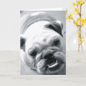 Engelse Bulldog Kaart (Gele Bloem)