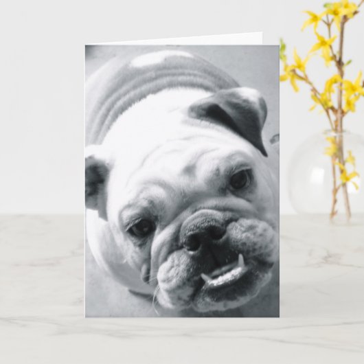 Engelse Bulldog Kaart (Gele Bloem)
