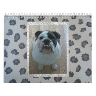 Engelse bulldog kalender! kalender