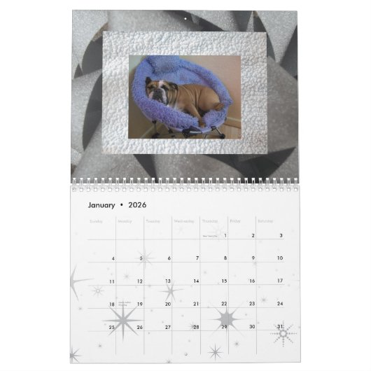 Engelse bulldog kalender! kalender (Jan 2026)