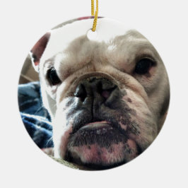 Engelse Bulldog Keramisch Ornament