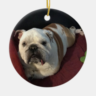 Engelse Bulldog Keramisch Ornament