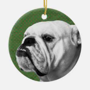 Engelse Bulldog Keramisch Ornament