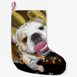 Engelse bulldog kerstkous kleine kerstsok