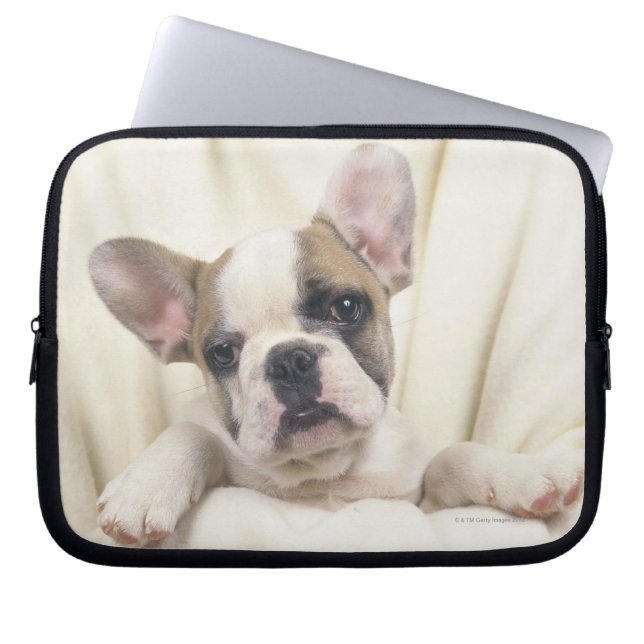Engelse Bulldog Laptop Sleeve (Voorkant)