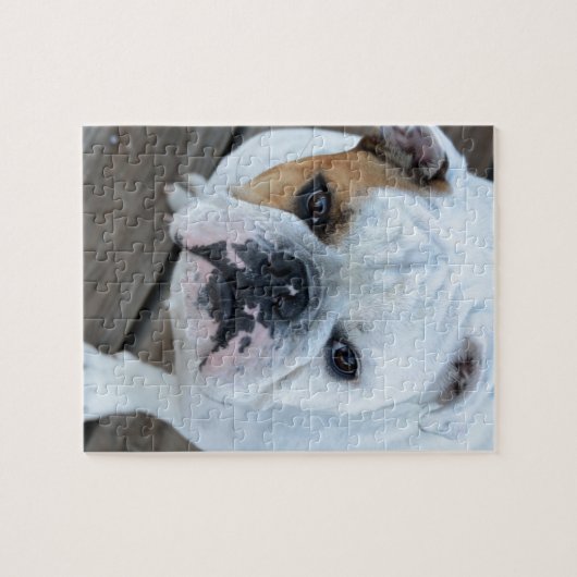 Engelse Bulldog Legpuzzel (Horizontaal)
