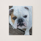 Engelse Bulldog Legpuzzel (Verticaal)