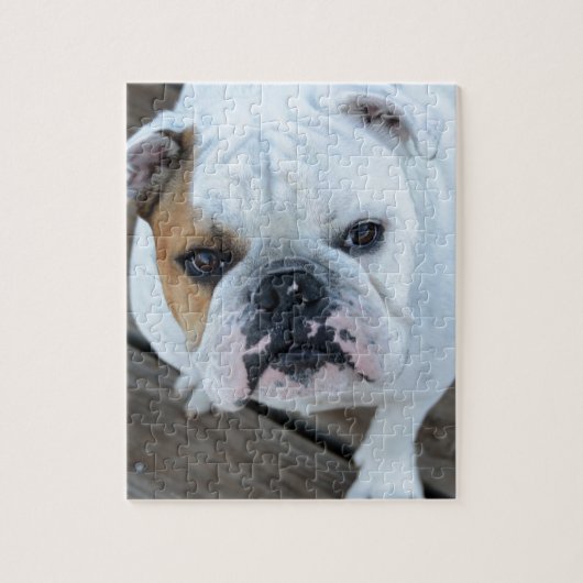 Engelse Bulldog Legpuzzel (Verticaal)