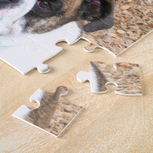 Engelse bulldog legpuzzel (Zijkant)