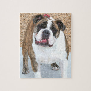 Engelse bulldog legpuzzel