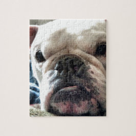 Engelse Bulldog Legpuzzel