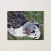 Engelse Bulldog Legpuzzel (Horizontaal)