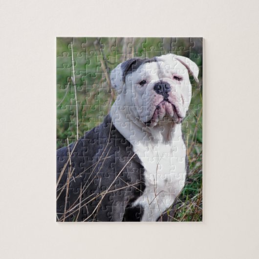 Engelse Bulldog Legpuzzel (Verticaal)