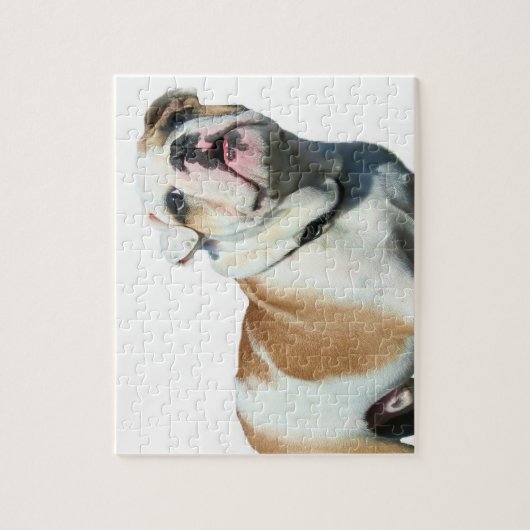 Engelse bulldog legpuzzel (Verticaal)