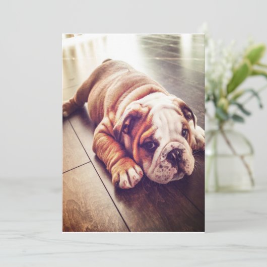 Engelse Bulldog Lying Dog | Dog Photo Feestdagenkaart (Staand voorkant)