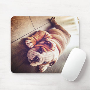 Engelse Bulldog Lying Dog Dog Photo Muismat