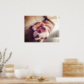 Engelse Bulldog Lying Dog | Dog Photo Poster (Keuken)