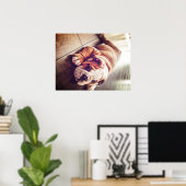 Engelse Bulldog Lying Dog | Dog Photo Poster (Thuiskantoor)