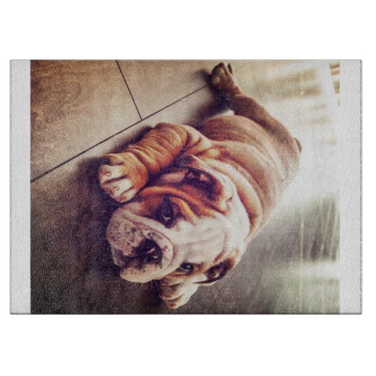 Engelse Bulldog Lying Dog | Dog Photo Snijplank (Voorkant)