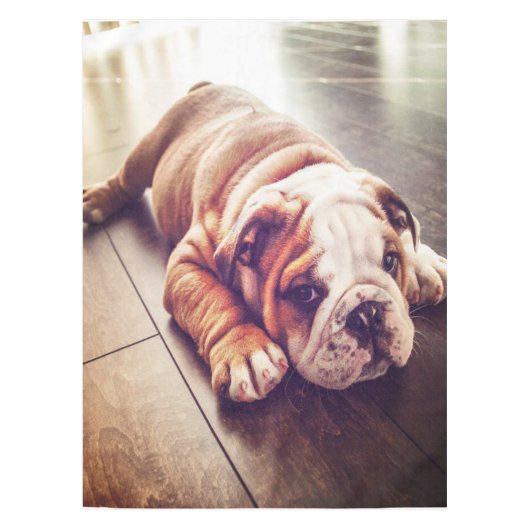 Engelse Bulldog Lying Dog | Dog Photo Tafelkleed (Voorkant)