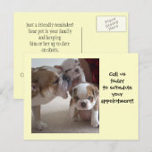 Engelse Bulldog Mam &Pups briefkaart shot herinner (Voorkant / Achterkant)
