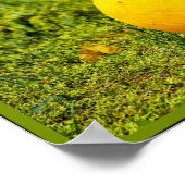 Engelse Bulldog met Ball Poster (Hoek)