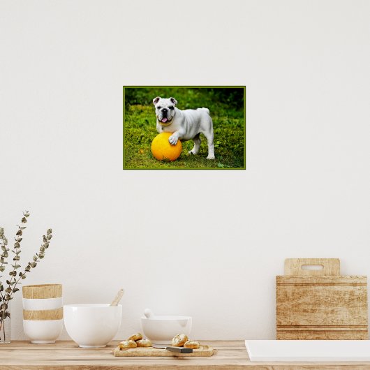 Engelse Bulldog met Ball Poster (Keuken)