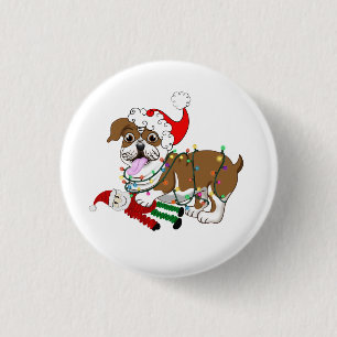 Engelse Bulldog met Button met wiellampjes