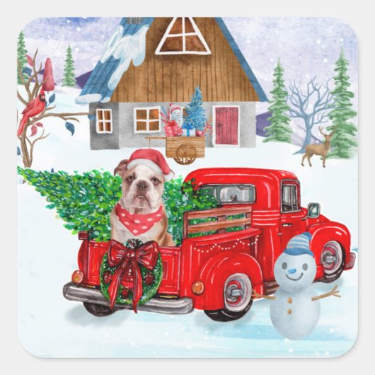 Engelse Bulldog met kerstcadeau Truck Snow Vierkante Sticker (Voorkant)