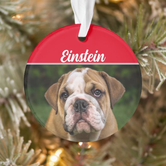 Engelse Bulldog met naam en kerstfoto Ornament (Boom)
