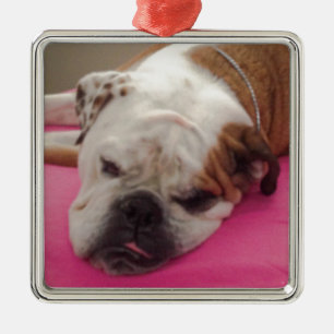 Engelse Bulldog Metalen Ornament