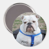 Engelse Bulldog Missy Magnet (Voorkant / Achterkant)