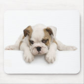 Engelse Bulldog Muismat (Voorkant)