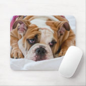 Engelse Bulldog Muismat (Met muis)