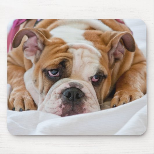 Engelse Bulldog Muismat (Voorkant)