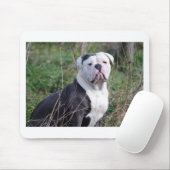 Engelse Bulldog Muismat (Met muis)